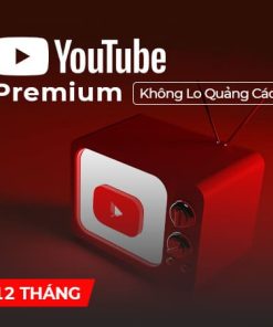 youtube-premium-gia-re-12-thang